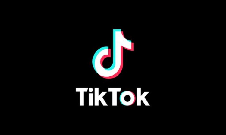 पाकिस्तान ने TikTok से हटाया बैन, बताई ये वजह